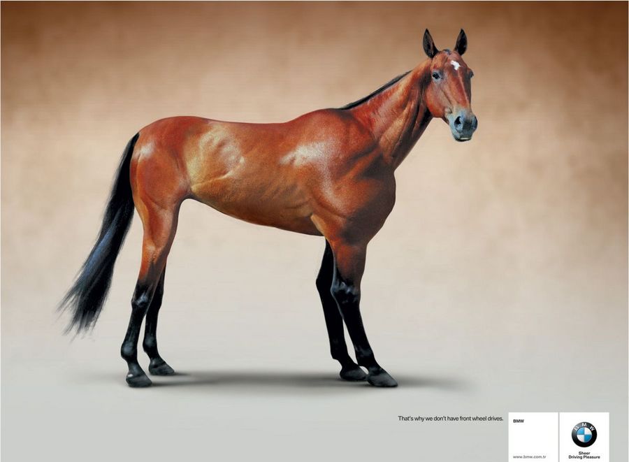 Name:  horse.jpg
Views: 5026
Size:  47.7 KB