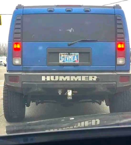Name:  Hummer..jpg
Views: 485
Size:  54.6 KB